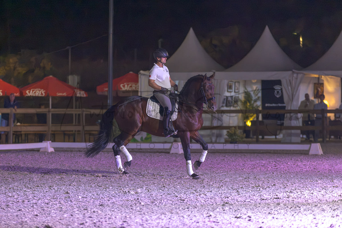 A dark brown horse with white leg wraps is being ridden by a person in equestrian gear inside an outdoor arena at night under event lighting. Tents and red Sagres umbrellas are visible in the background.