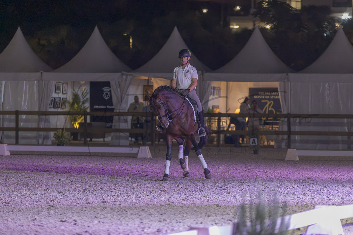 A rider on a dark brown horse performs a jump in an equestrian arena at night, with white event tents and fencing visible in the background.