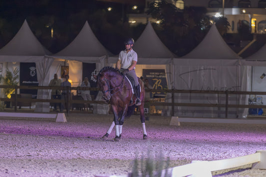A rider on a dark brown horse inside an equestrian arena at night, with white tents and event lighting in the background.