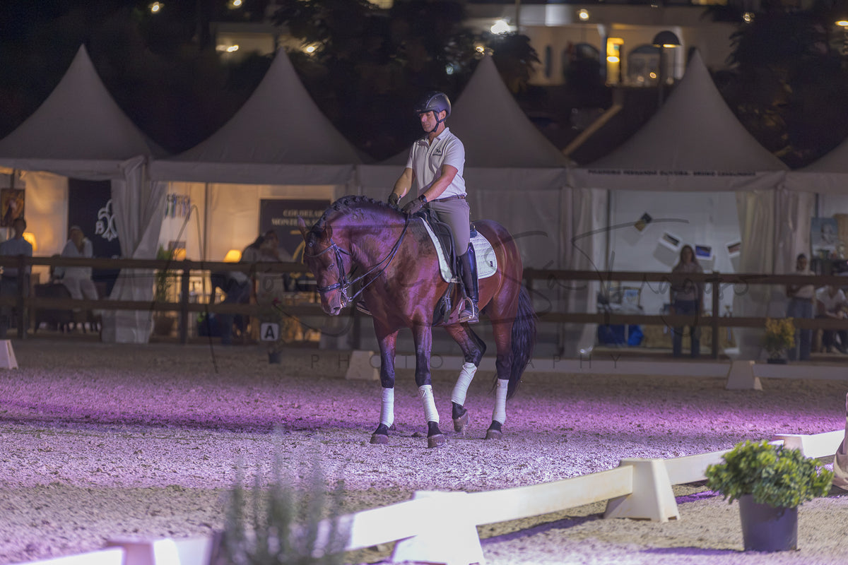 A horse rider on a dark brown horse in an equestrian arena at night, with white tents and event lighting in the background.