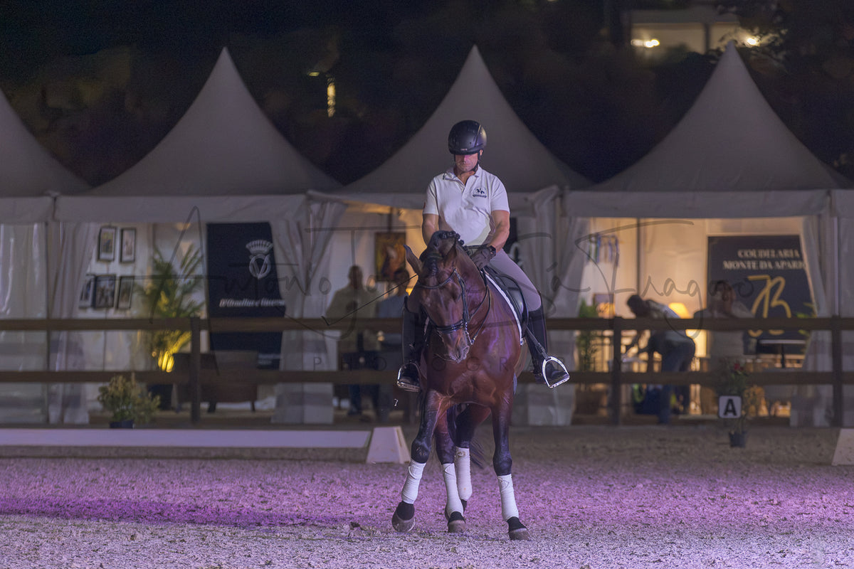 A rider in equestrian attire sits on a dark brown horse within an outdoor riding arena at night. The arena floor is illuminated by purple lighting, with white event tents and event signage visible in the background.
