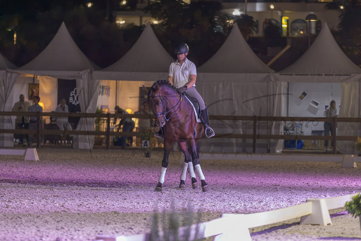 A rider on a dark brown horse stands in an equestrian arena at night under purple lighting, with white tents and spectators visible in the background.