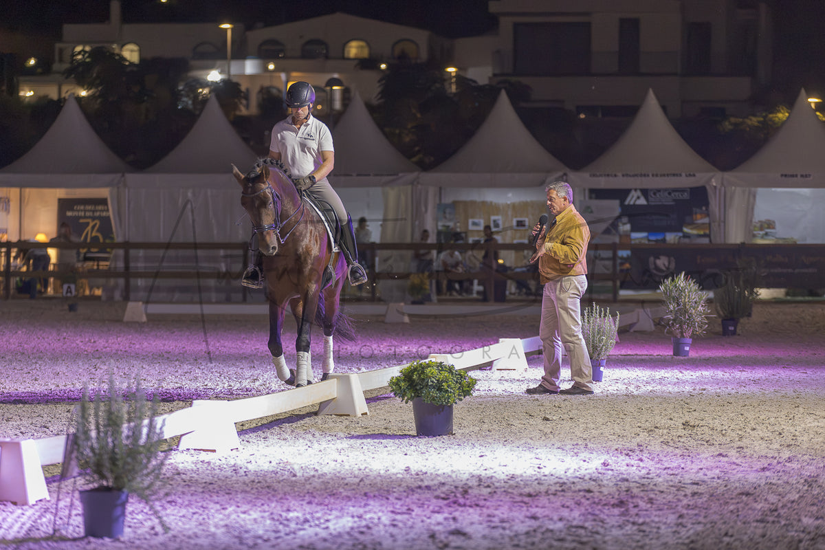 A horse rider on a brown horse during an evening equestrian event, with a commentator standing nearby in an arena lit by purple and white lights.