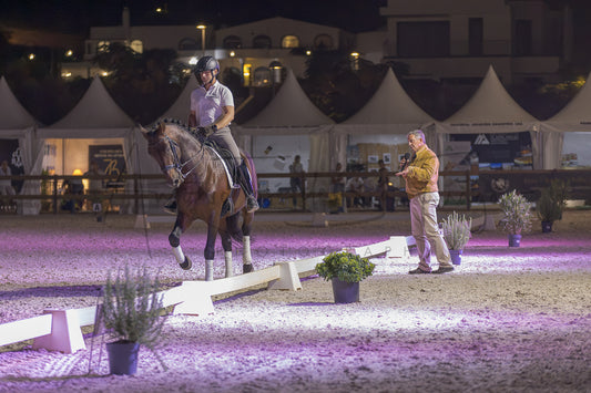 A horse rider on a brown horse navigates an obstacle in an outdoor equestrian arena at night under purple lighting, with a commentator standing nearby.