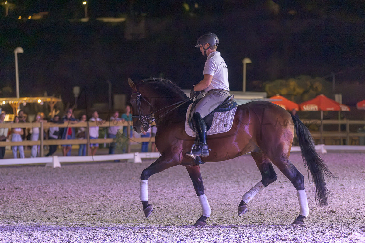 A rider in equestrian attire sits on a dark brown horse during a night training session in an outdoor riding arena with spectators visible in the background.