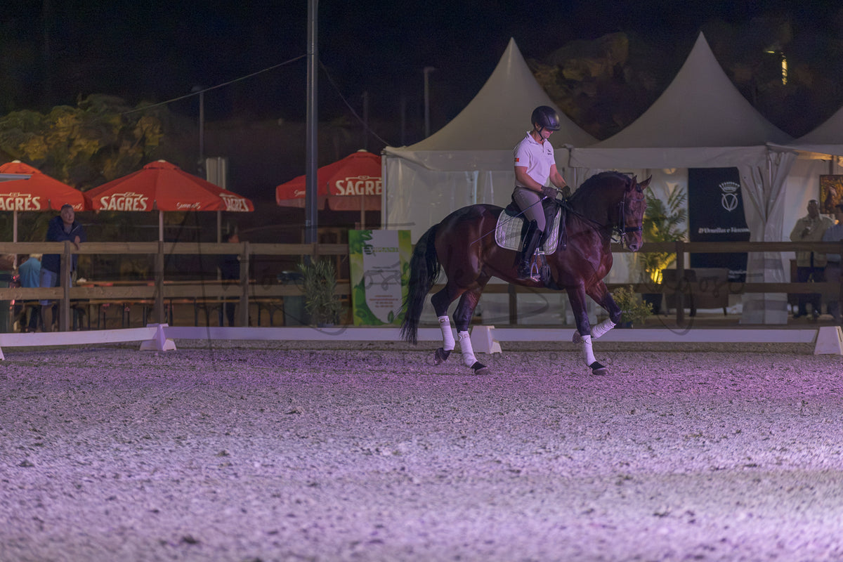 A dark brown horse with white leg wraps is being ridden by a person in formal equestrian attire inside an outdoor arena at night. White tents and red Sagres umbrellas are visible in the background under stadium lighting.