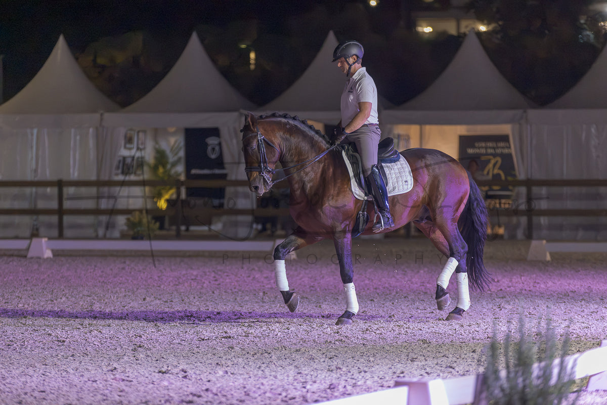 A horse rider in equestrian attire rides a brown horse across an indoor arena at night under purple lighting, with white tents and fencing visible in the background.
