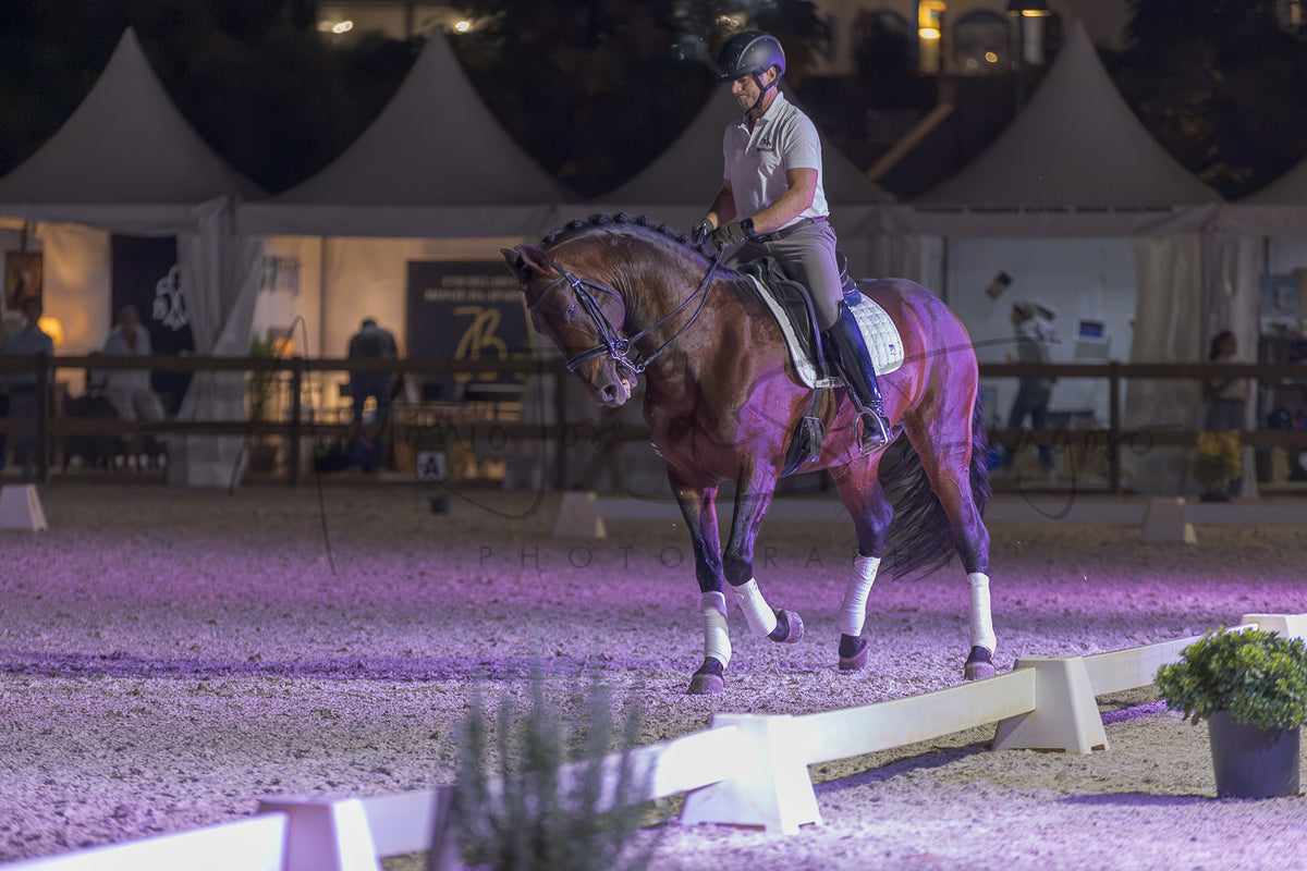 A horse rider on a brown horse in an equestrian arena at night under purple lighting, with tents and event structures in the background.