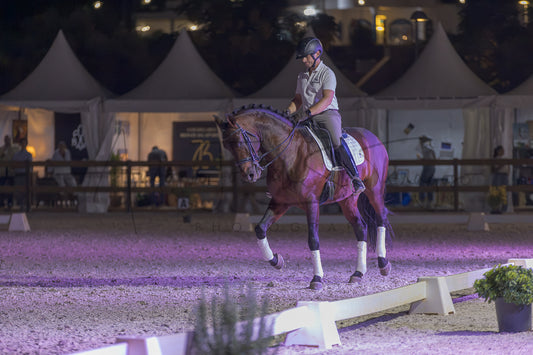 A horse rider on a dark brown horse with purple leg wraps, wearing a gray shirt and black breeches, riding in an equestrian arena at night under event tents.