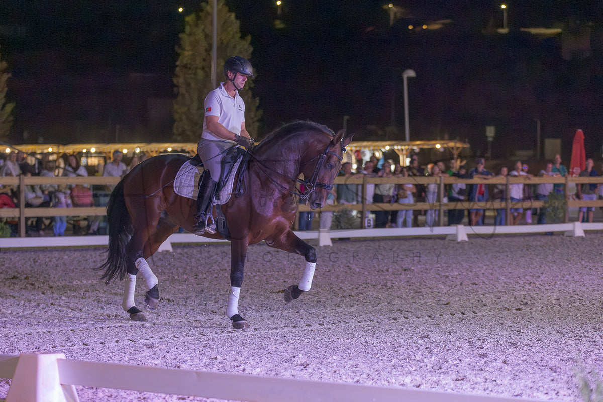 A rider in equestrian attire sits atop a dark brown horse during a night event in an outdoor riding arena, with spectators visible in the background behind a fence.