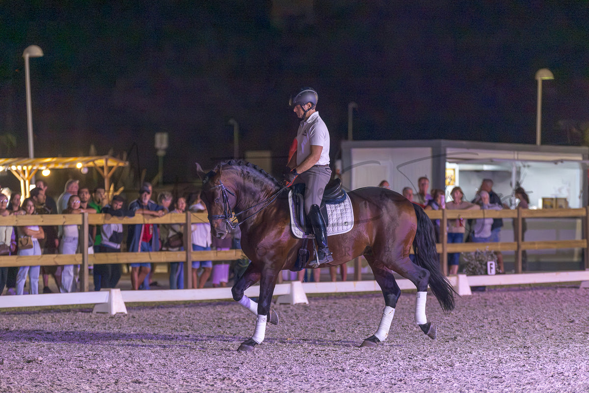 A dark brown horse with white leg wraps is being ridden by a person in equestrian attire inside an outdoor riding arena at night, with spectators visible behind a fence in the background.