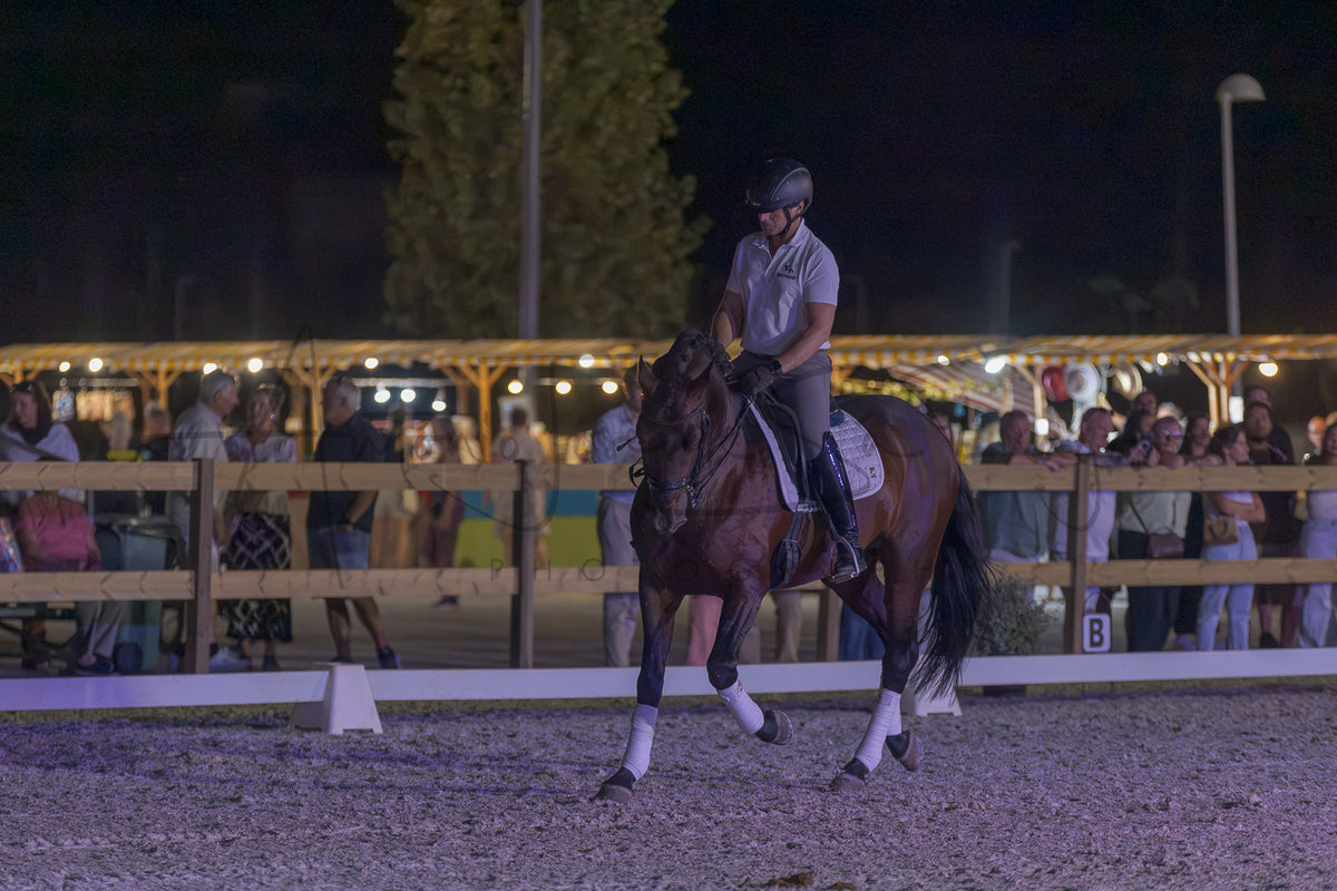 A person riding a brown horse in an outdoor night equestrian arena, with spectators and lights visible in the background behind a wooden fence.