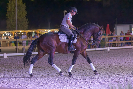 A dark brown horse with white leg wraps is being ridden in an equestrian arena at night under artificial lighting, with spectators visible in the background.