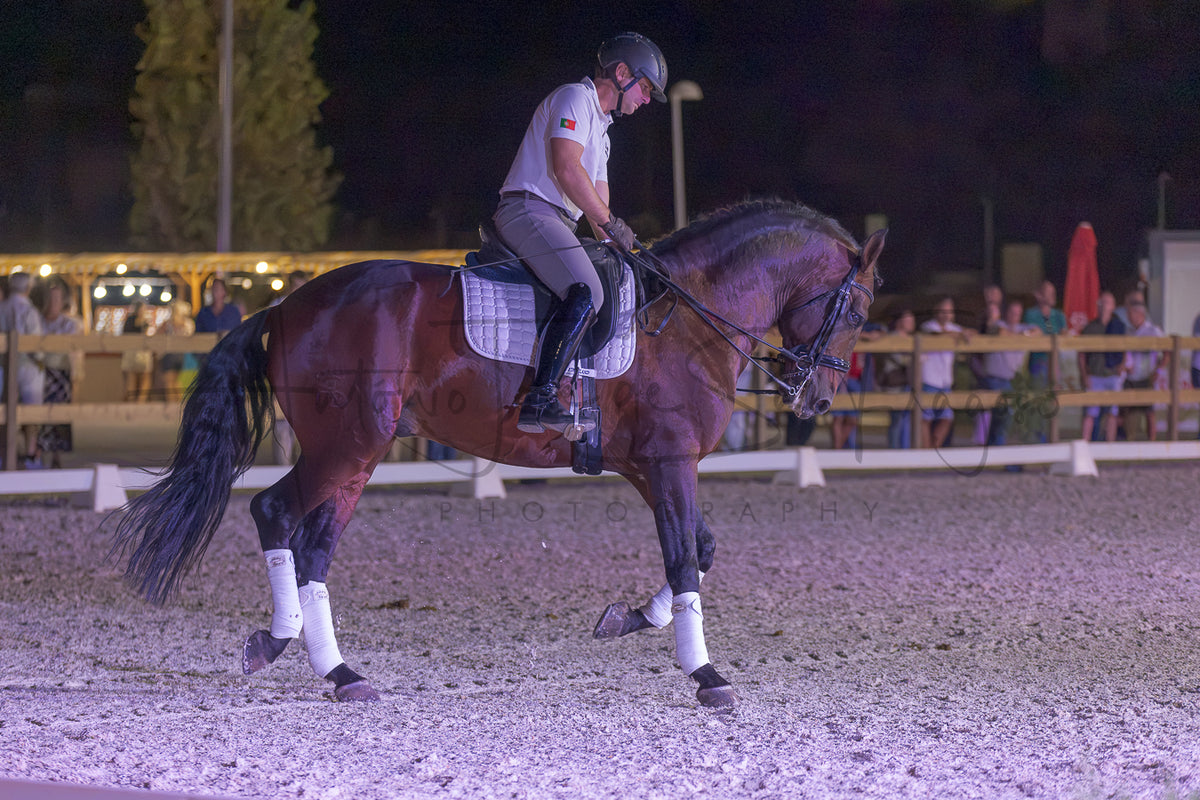 A rider in equestrian attire sits on a dark brown horse inside an outdoor riding arena at night, with spectators and lights visible in the background.