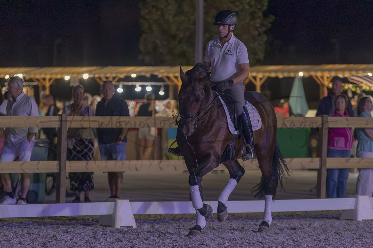 A rider on a dark brown horse during an evening equestrian event, with spectators and a wooden fence visible in the background.