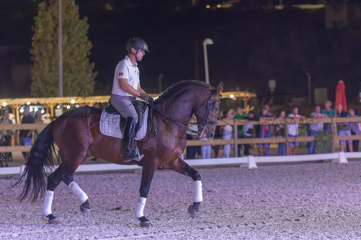 A rider in equestrian attire sits on a dark brown horse during a night event in an outdoor riding arena, with spectators visible in the background behind a fence.