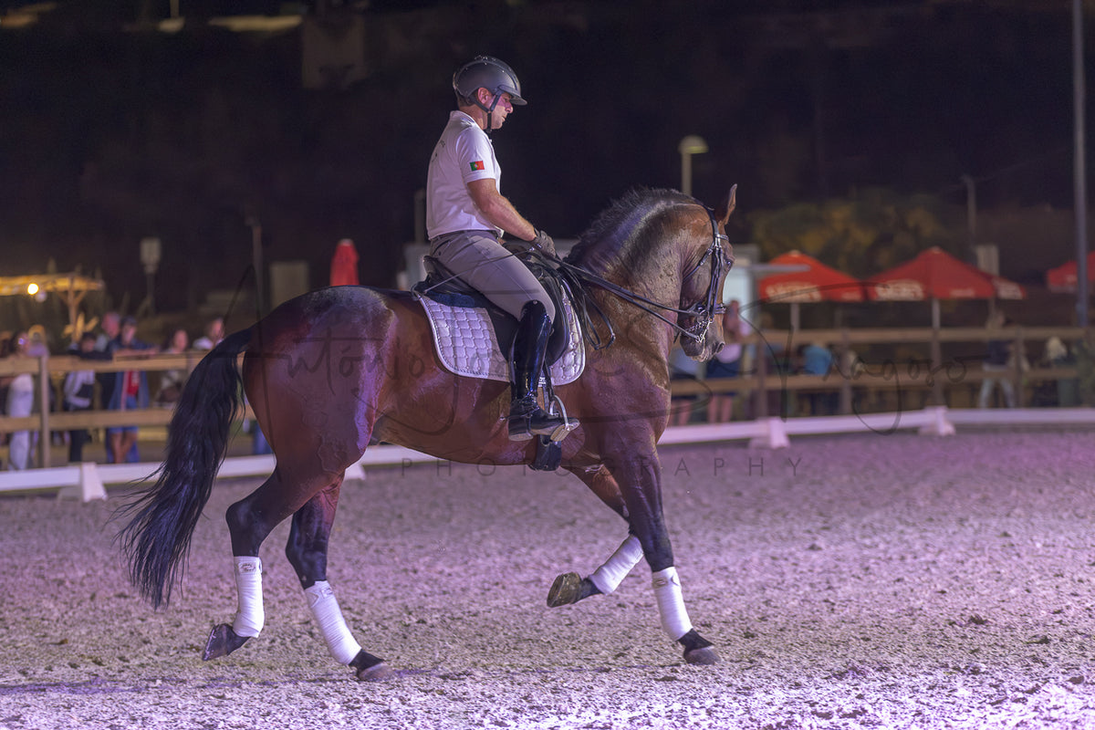 A rider on a brown horse during an evening equestrian event in an arena, with spectators and tents visible in the background.