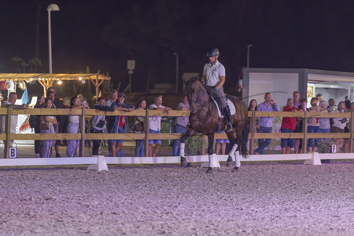 A horse rider on a dark brown horse during a night equestrian event, with spectators watching from behind a wooden fence in an outdoor arena.