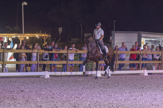A horse rider on a dark brown horse during a night equestrian event, with spectators watching from behind a wooden fence in an outdoor arena.