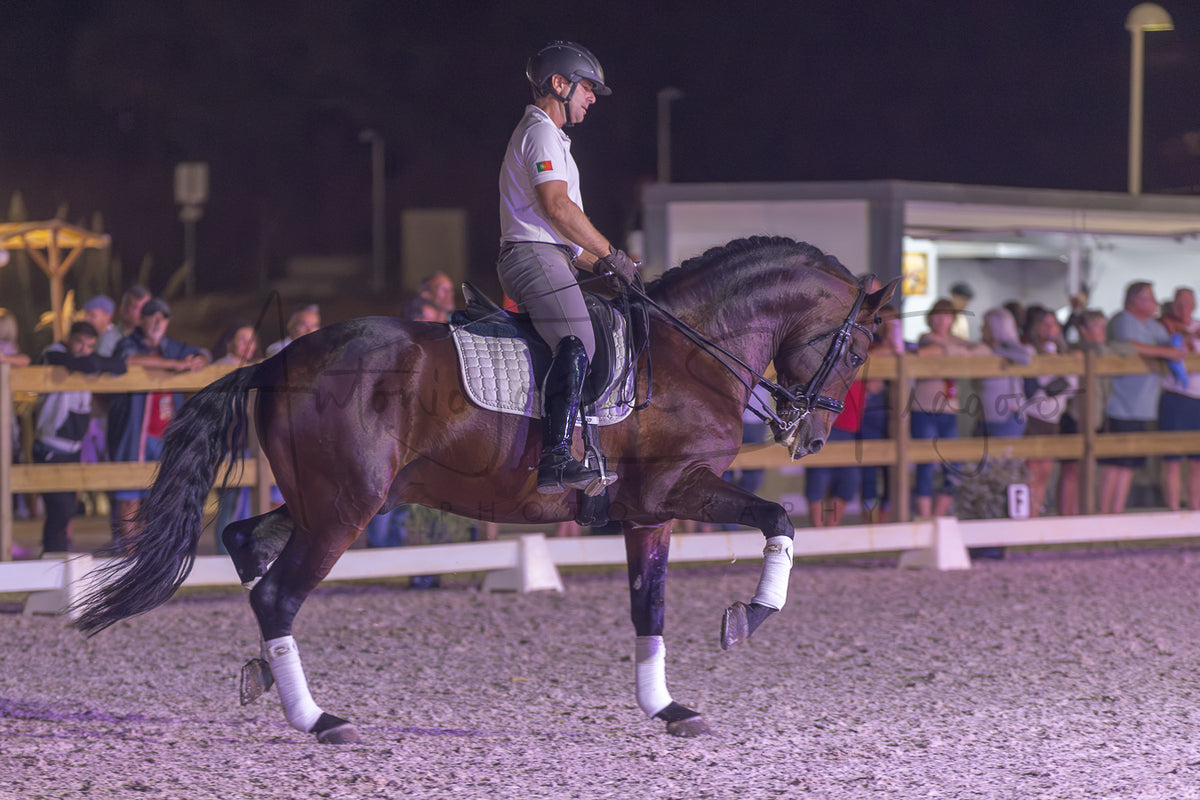 A dark brown horse with white leg wraps is being ridden by a person in equestrian apparel inside an outdoor arena at night, with spectators visible behind a fence in the background.