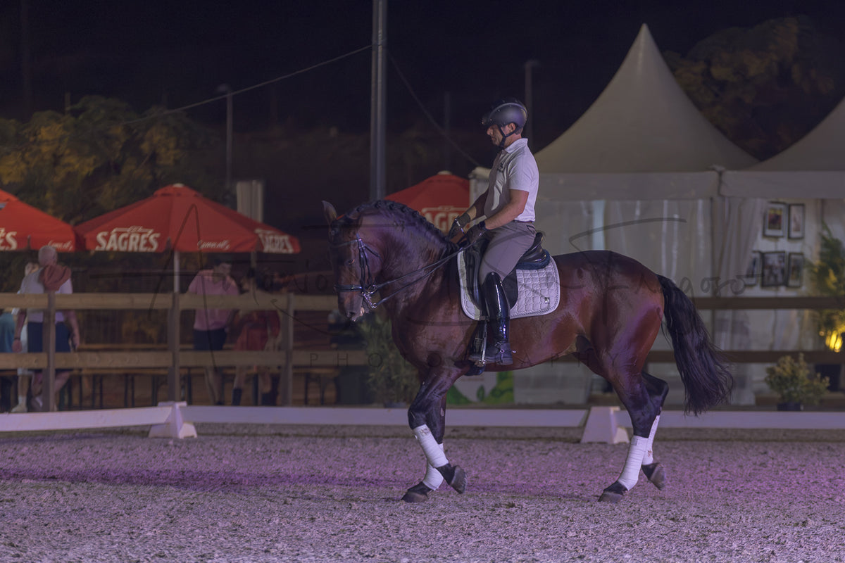 A rider on a dark brown horse during an evening equestrian event, with a white tent, red Sagres umbrellas, and spectators visible in the background.