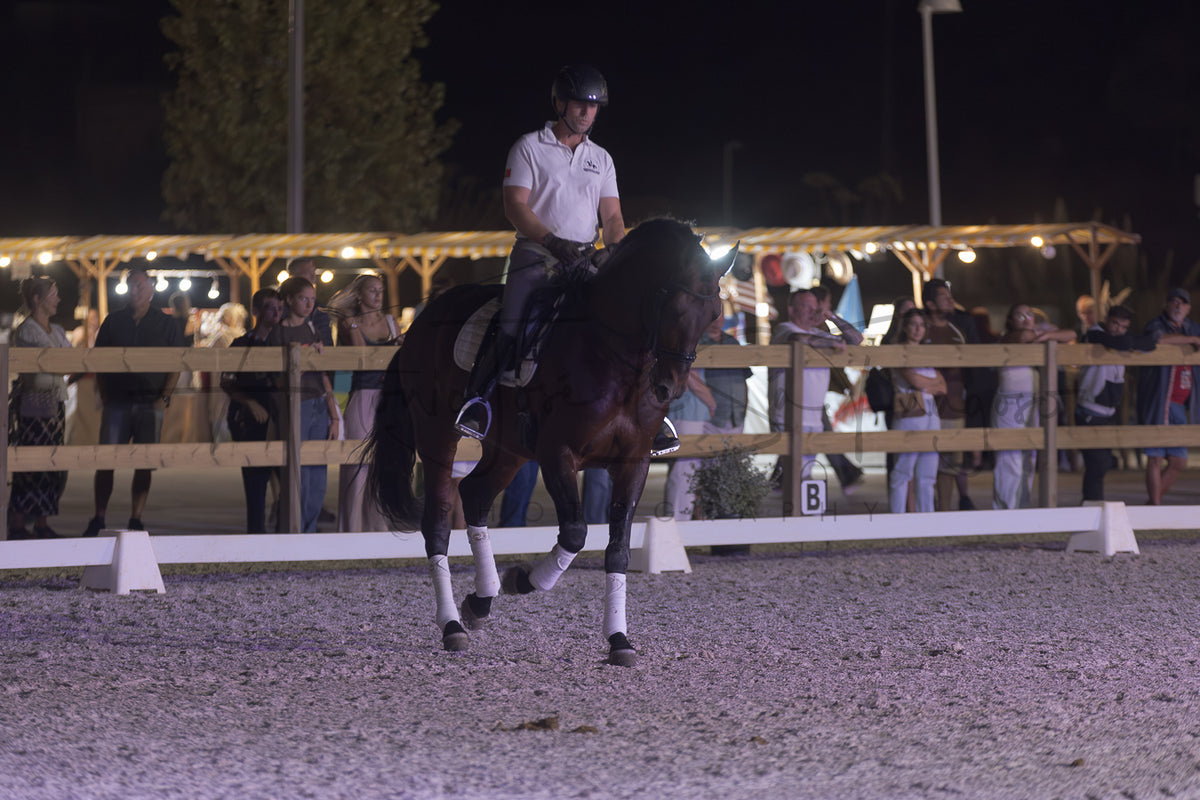 A rider on a dark horse performs a trot in an equestrian arena at night, with spectators visible behind a wooden fence in the background.