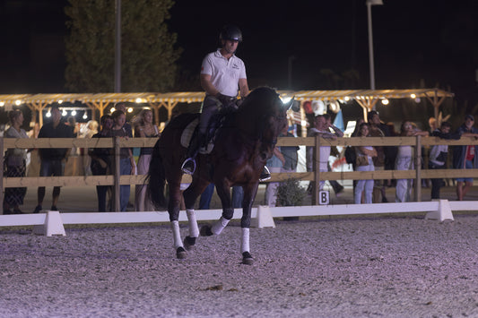 A rider on a dark horse performs a trot in an equestrian arena at night, with spectators visible behind a wooden fence in the background.