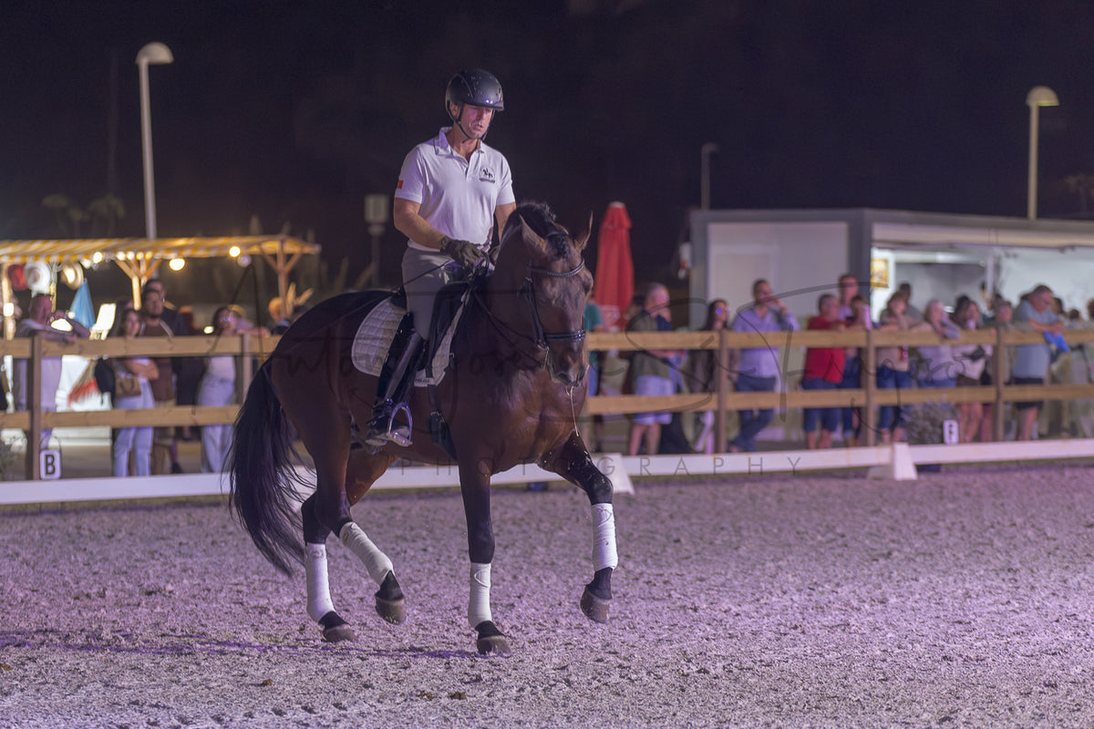 A rider in equestrian attire sits on a dark brown horse during a night competition in an indoor arena, with spectators visible behind a fence in the background.