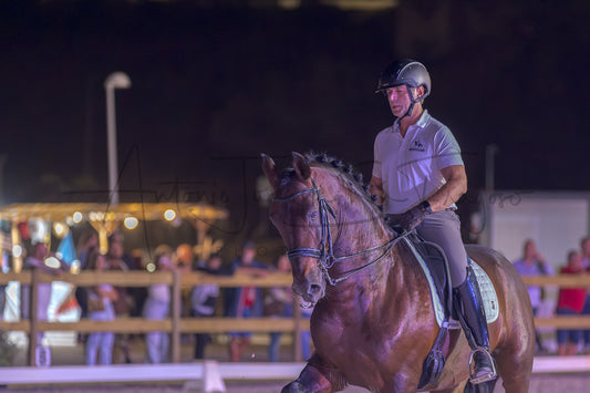 A male equestrian rider in a white polo shirt and black helmet rides a brown horse during a night equestrian event, with spectators visible in the background behind a fence.
