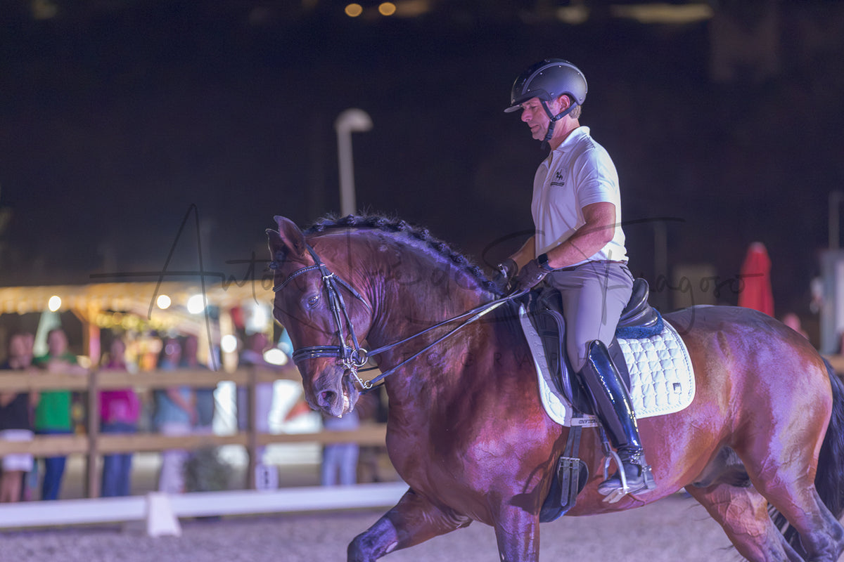 A man in equestrian attire riding a brown horse in an indoor arena at night, with blurred spectators and lights in the background.
