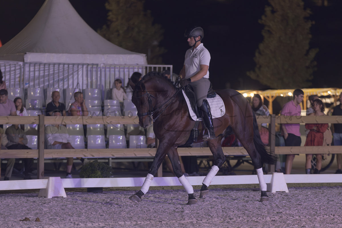 A dark brown horse with white leg wraps is being ridden by a person in equestrian attire inside an outdoor arena at night, with spectators seated behind a fence and a white tent in the background.