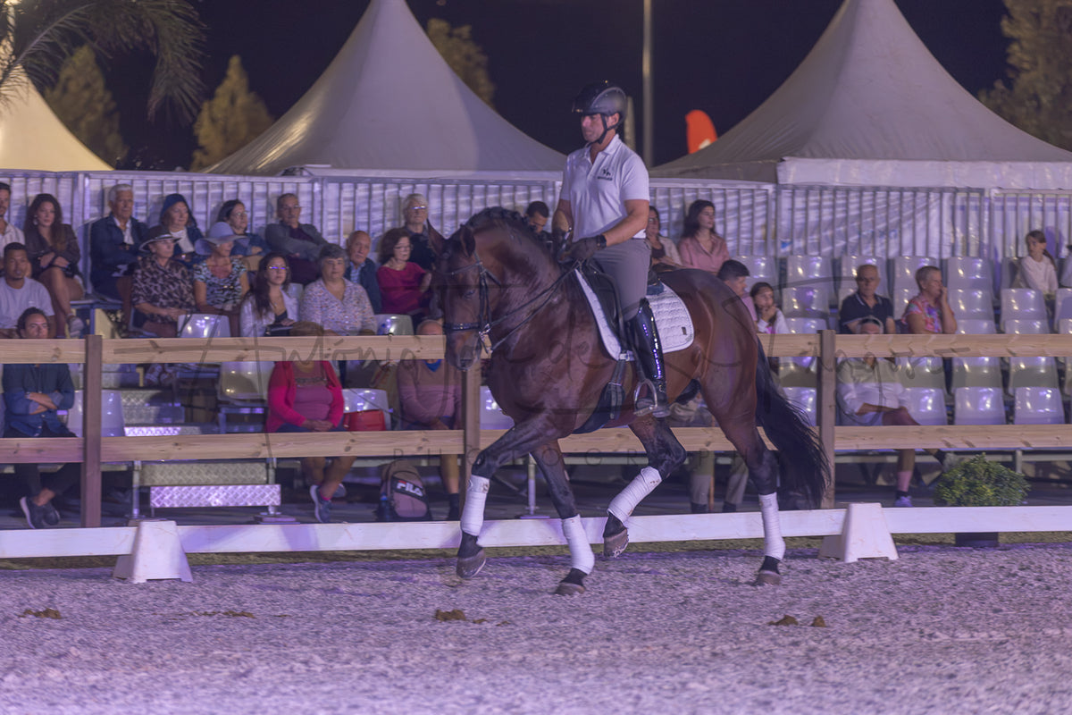 A rider on a dark brown horse performing in an outdoor equestrian arena at night, with spectators seated behind a fence and large white event tents in the background.