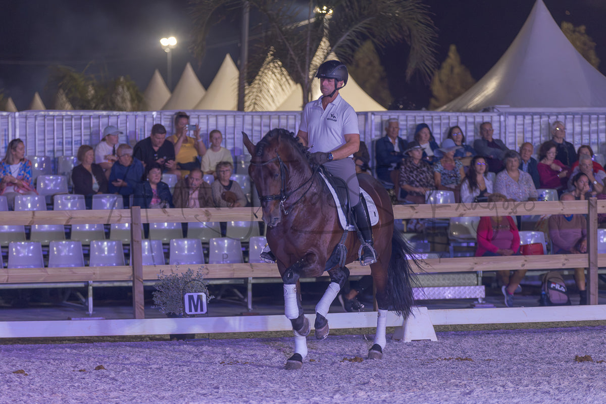 A rider on a dark brown horse during an equestrian event at night, with spectators seated in bleachers in the background.