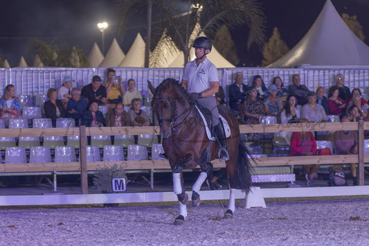A rider on a dark brown horse during an equestrian event at night, with spectators seated in bleachers in the background.