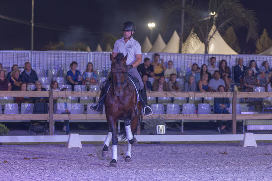 A rider in equestrian attire sits on a dark brown horse during a night event in an outdoor riding arena, with spectators seated in stands behind a fence.