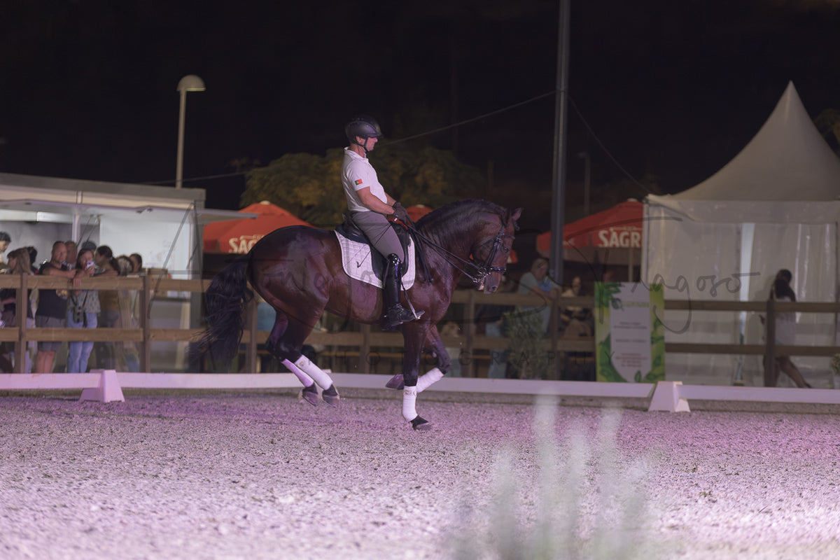 A dark brown horse with white leg wraps is being ridden by a person in formal equestrian attire inside an outdoor arena at night, with tents and spectators visible in the background.