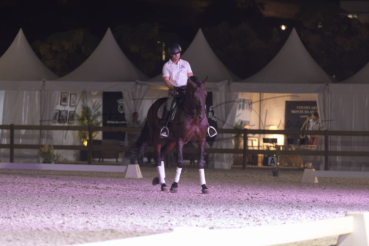 A rider in a white shirt and black helmet sits on a dark brown horse inside an equestrian arena at night, with white event tents and fencing visible in the background.