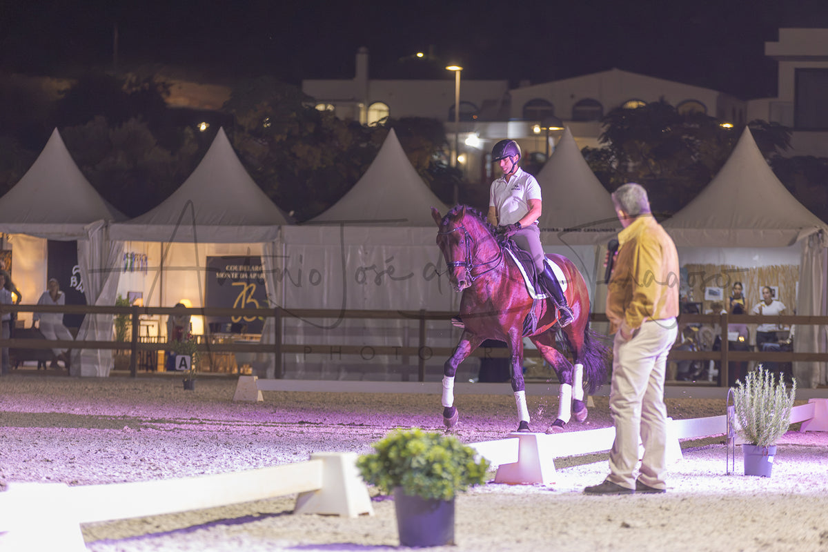 A horse riding event at night in an outdoor arena, with a rider on a dark reddish-brown horse facing a judge. White tents are visible in the background under a dark sky.