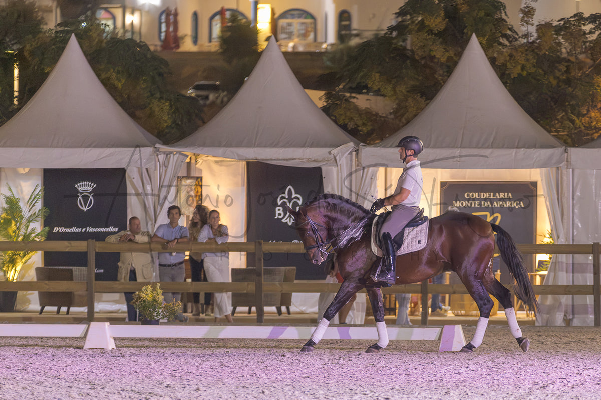A dark brown horse with white leg wraps is being ridden by a person in formal equestrian attire within an outdoor arena at night. Behind the horse are white event tents with banners, and a few spectators are visible near the fencing.