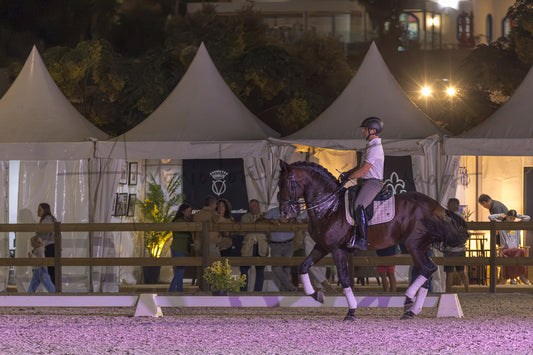 A dark brown horse with white leg wraps is being ridden by a person in formal equestrian attire during an evening event, with white tents, spectators, and warm lights in the background.