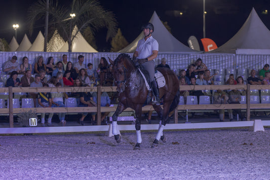 A rider on a dark brown horse performs a jump in an outdoor equestrian arena at night, with spectators seated behind a fence and white event tents in the background.