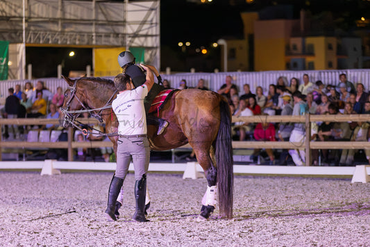 Stables "Fernando Oliveira" Demostration by Bruno Cavalinhos