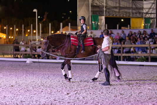Stables "Fernando Oliveira" Demostration by Bruno Cavalinhos