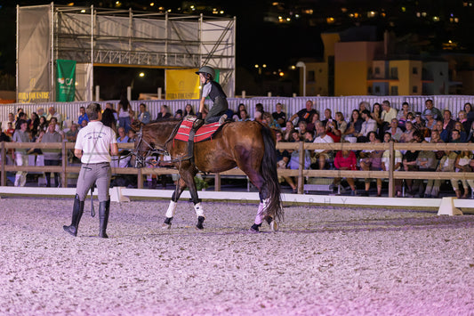 Stables "Fernando Oliveira" Demostration by Bruno Cavalinhos