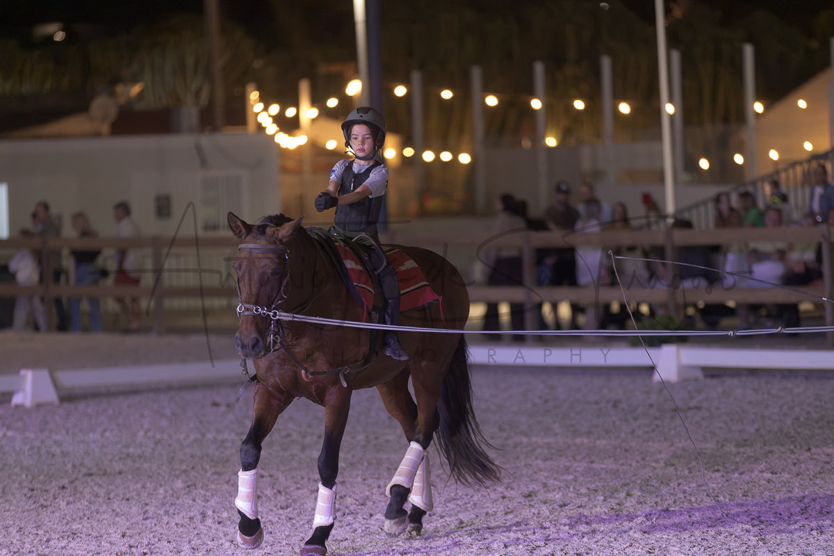 Stables "Fernando Oliveira" Demostration by Bruno Cavalinhos