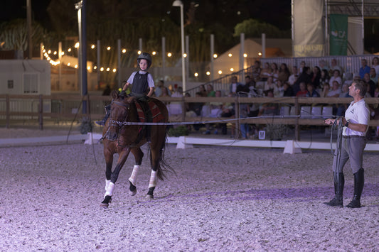 Stables "Fernando Oliveira" Demostration by Bruno Cavalinhos