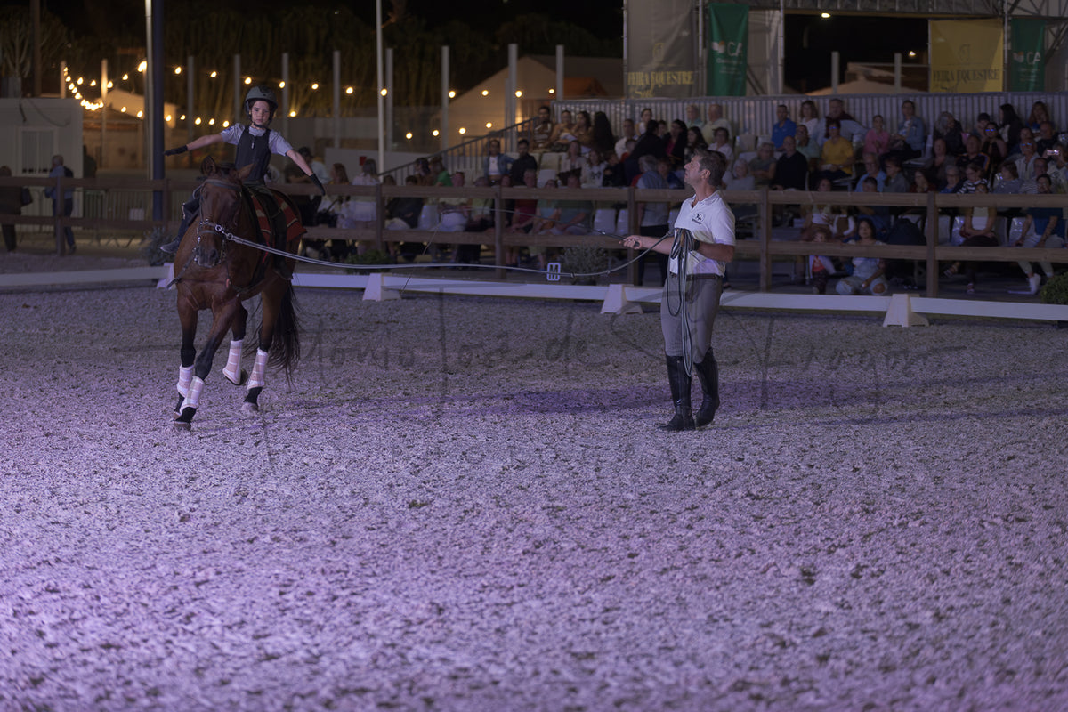 Stables "Fernando Oliveira" Demostration by Bruno Cavalinhos