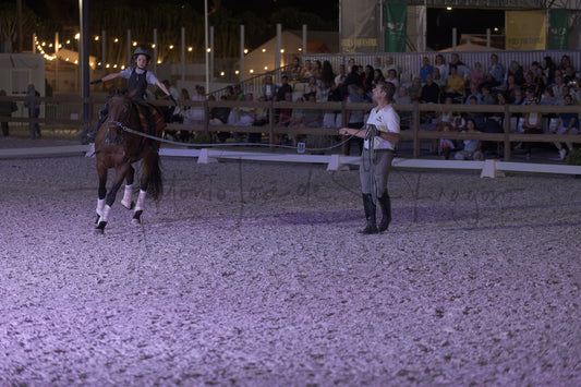 Stables "Fernando Oliveira" Demostration by Bruno Cavalinhos