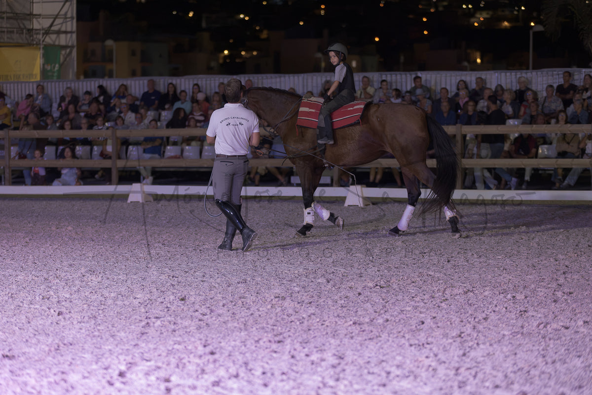 Stables "Fernando Oliveira" Demostration by Bruno Cavalinhos
