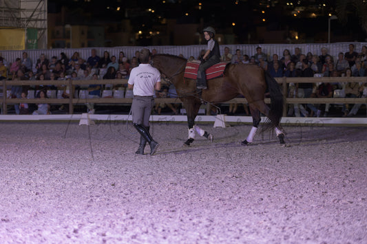Stables "Fernando Oliveira" Demostration by Bruno Cavalinhos
